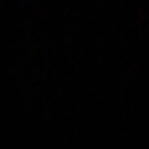 Meet your Posher, Debbi